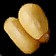 Acorn of the Daughter Tree