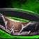Barthalomew's Belt