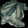 Fenrus' Hide