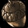 Ancient Petrified Seed