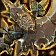 Axe of the Tauren Chieftains