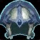 Dojani Helm