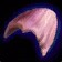 Viseclaw Carapace