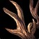 Tawnyhide Antler