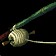 Pandaren Fishing Pole