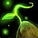 Seed of Tranquil Growth
