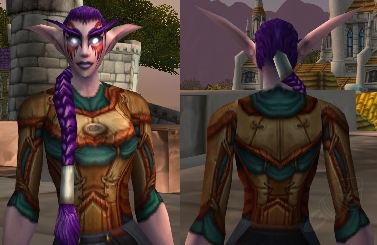 Warming Chestguard of the Golden Lotus