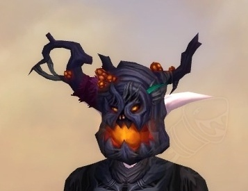 Cover of the Haunted Forest