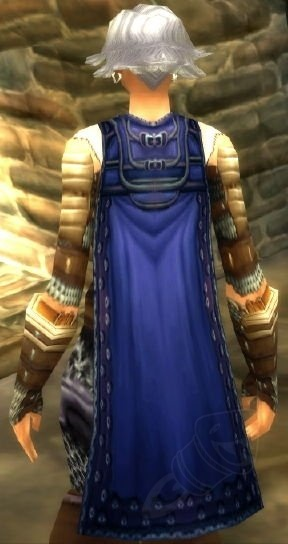 Renegade Cloak of the Eagle